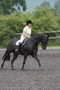 ISIS Dressage Challenge 2008